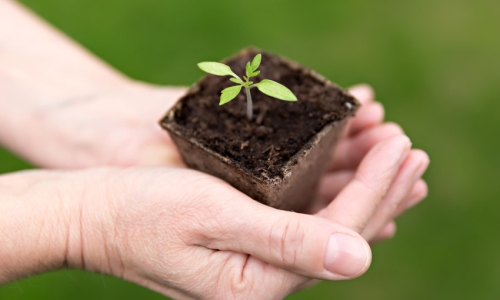 How to Regain Control from an Eating Disorder?