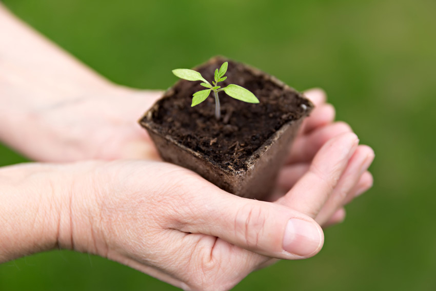 How to Regain Control from an Eating Disorder?